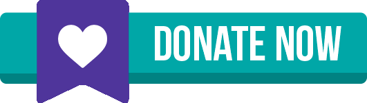 donate now button